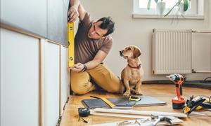 To Improve or Not to Improve: Home Renovations 
