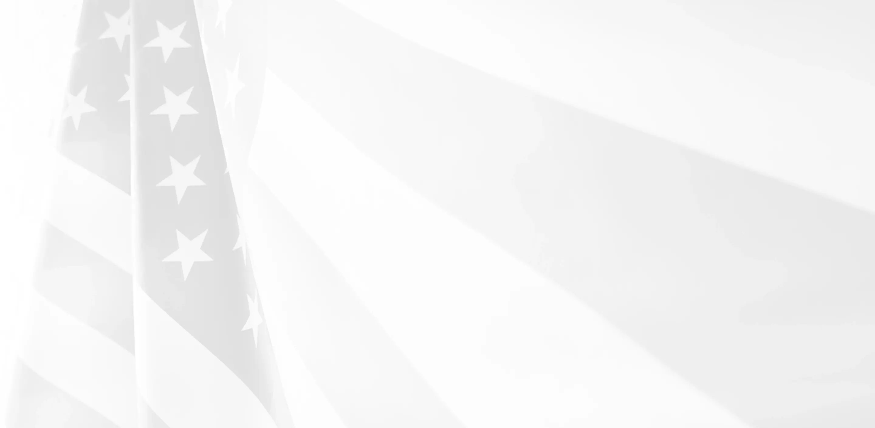 Grayscale image of a flag.