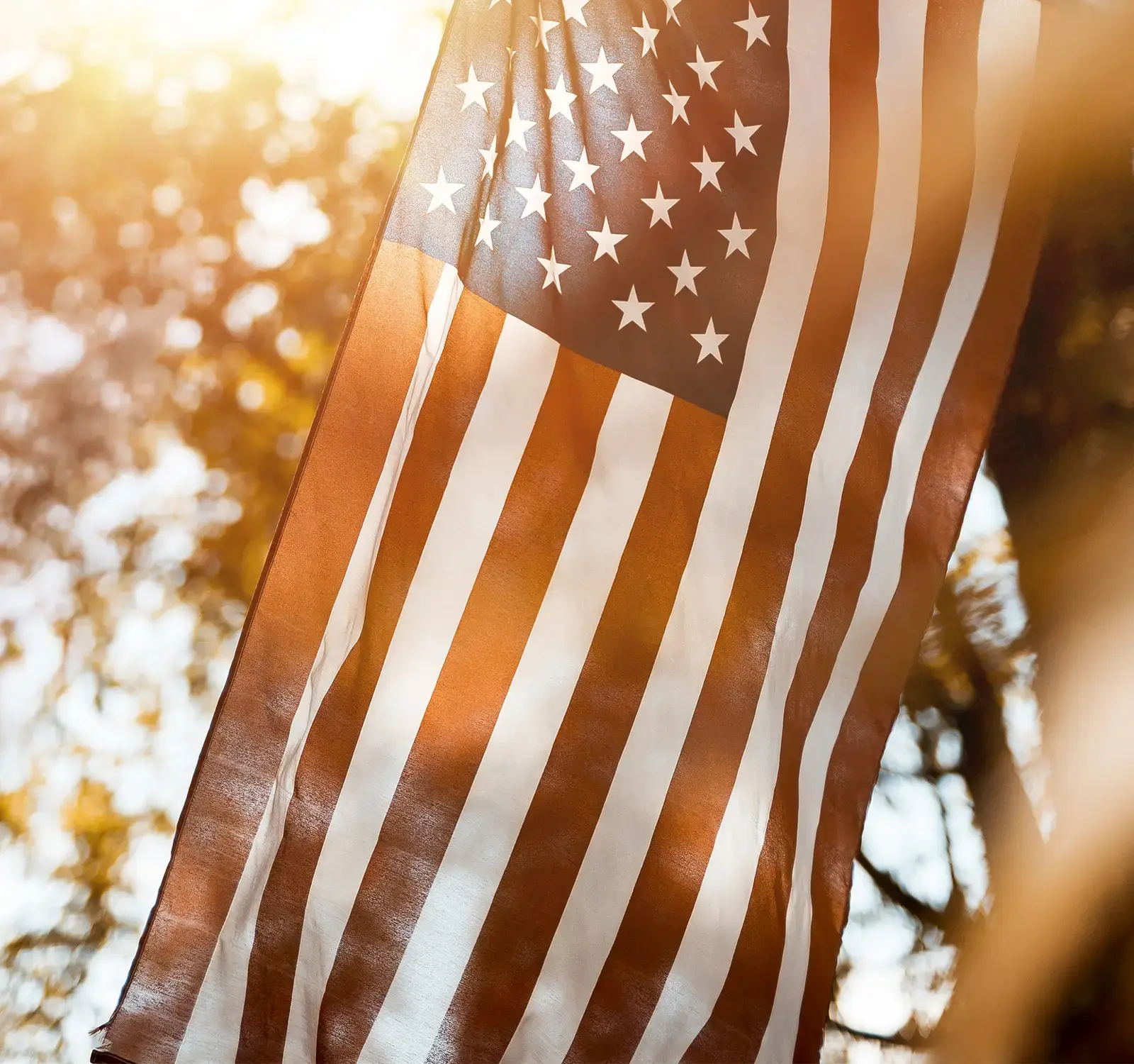 View of the sky with a tree and an American Flag.