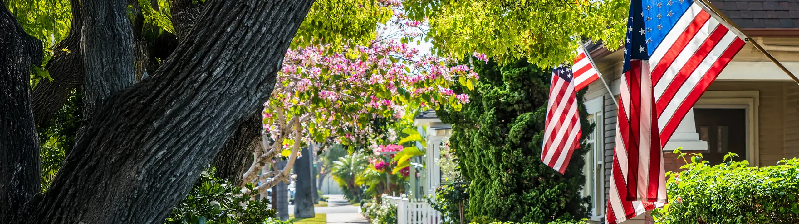 Image of a tree lined street with American Flags hanging on the porch.