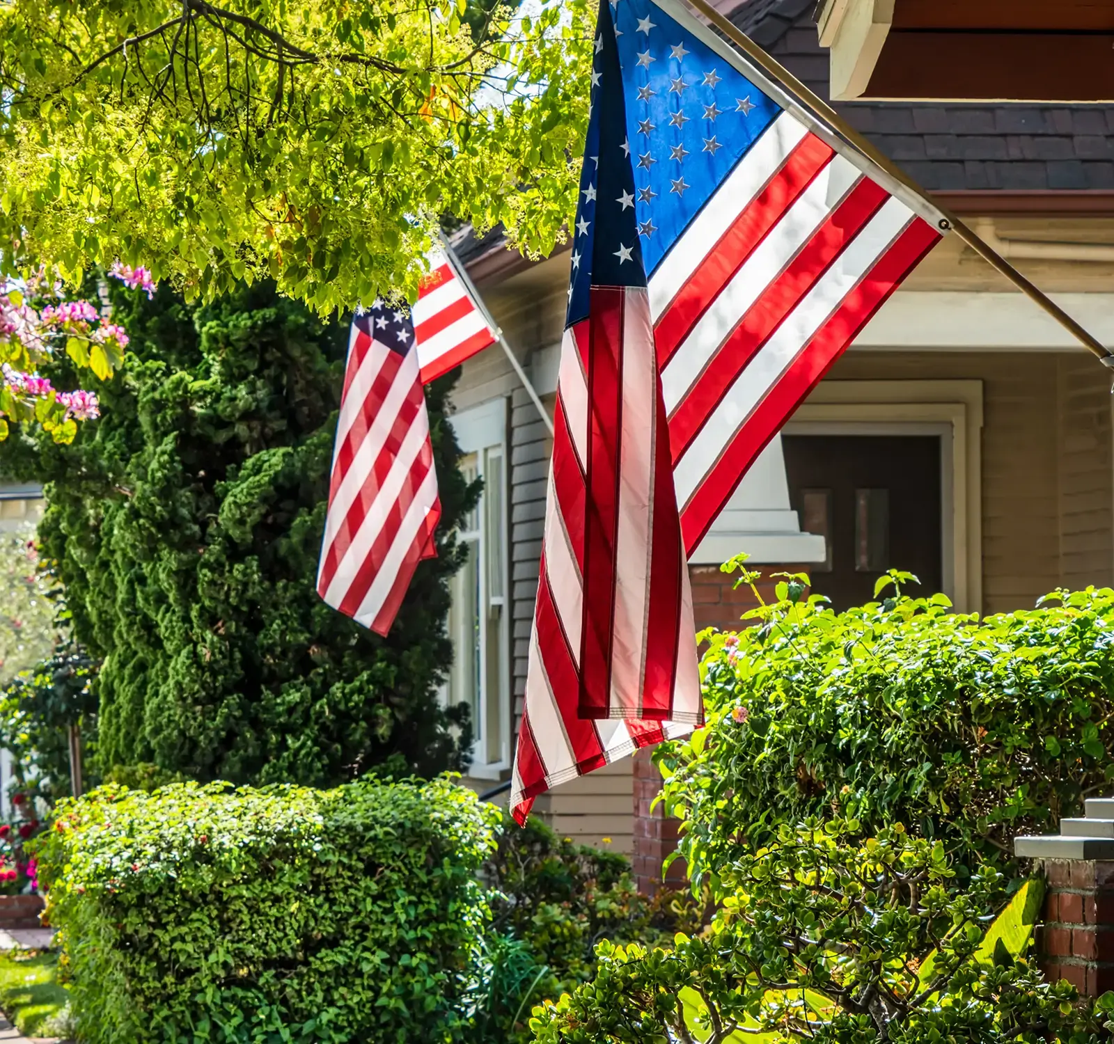 Image of a tree lined street with American Flags hanging on the porch.