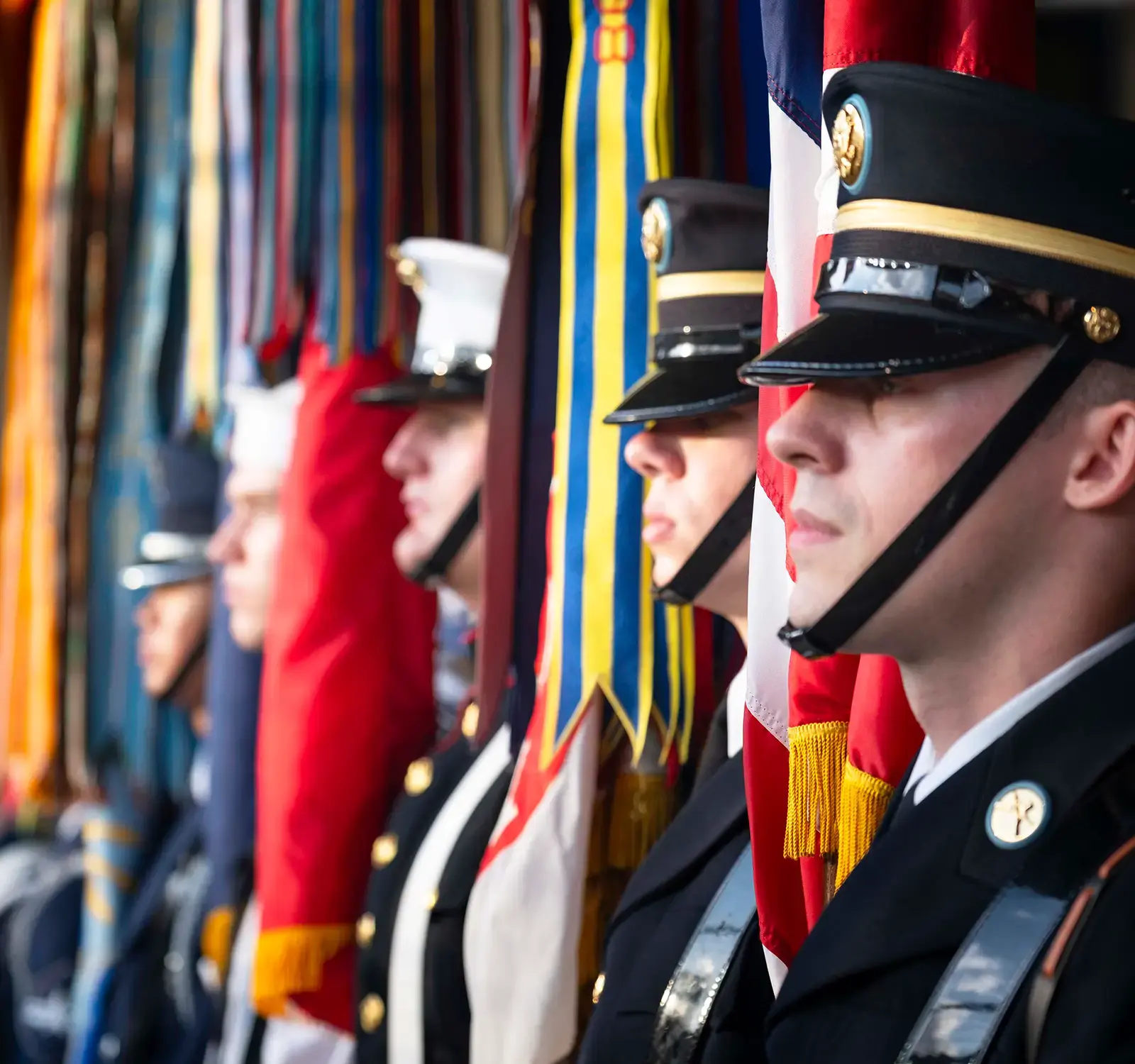Image is mostly black with a line of military personnel in uniform holding flags in a straight line.