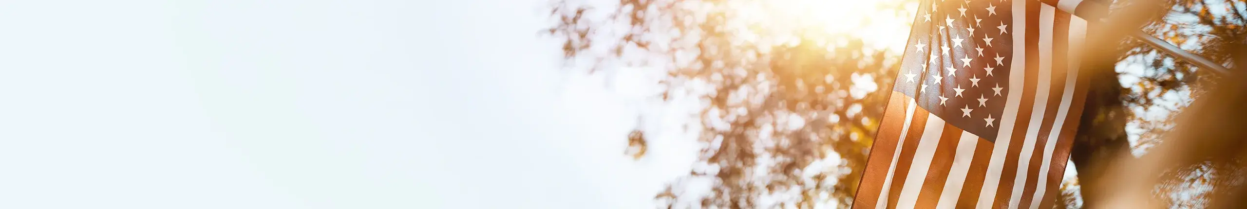 View of the sky with a tree and an American Flag.