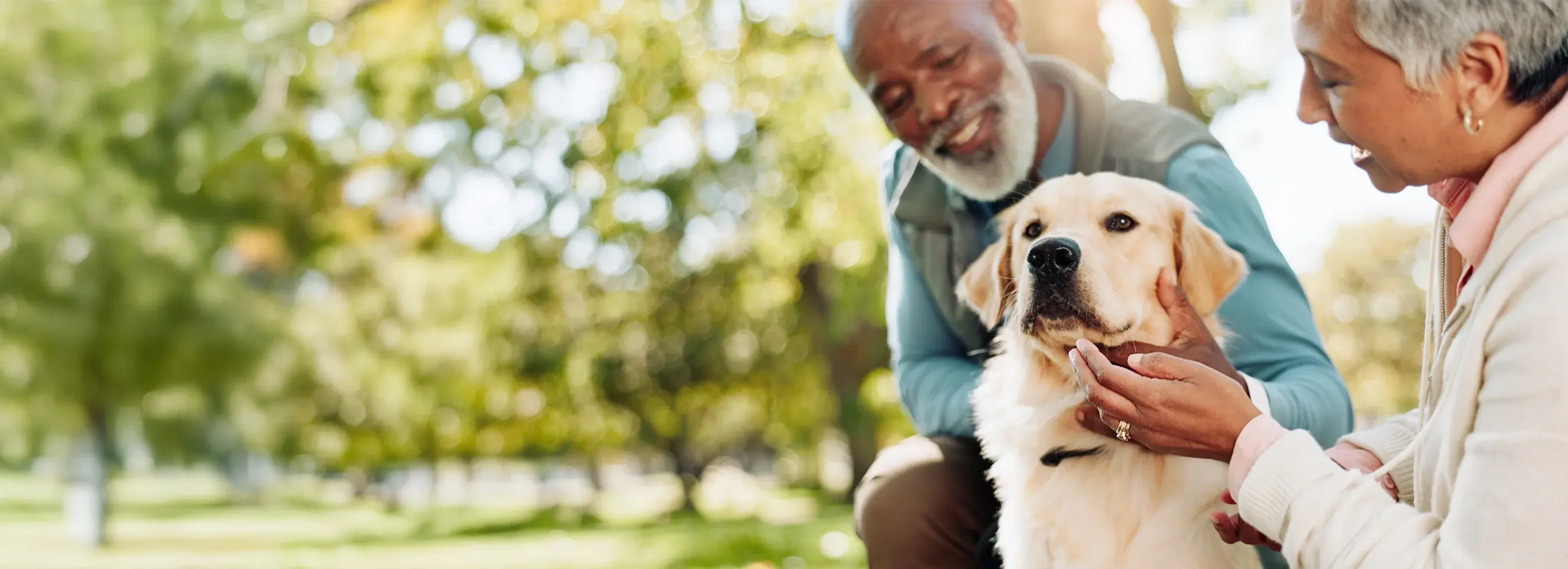 Image of two people in a park petting a dog.
