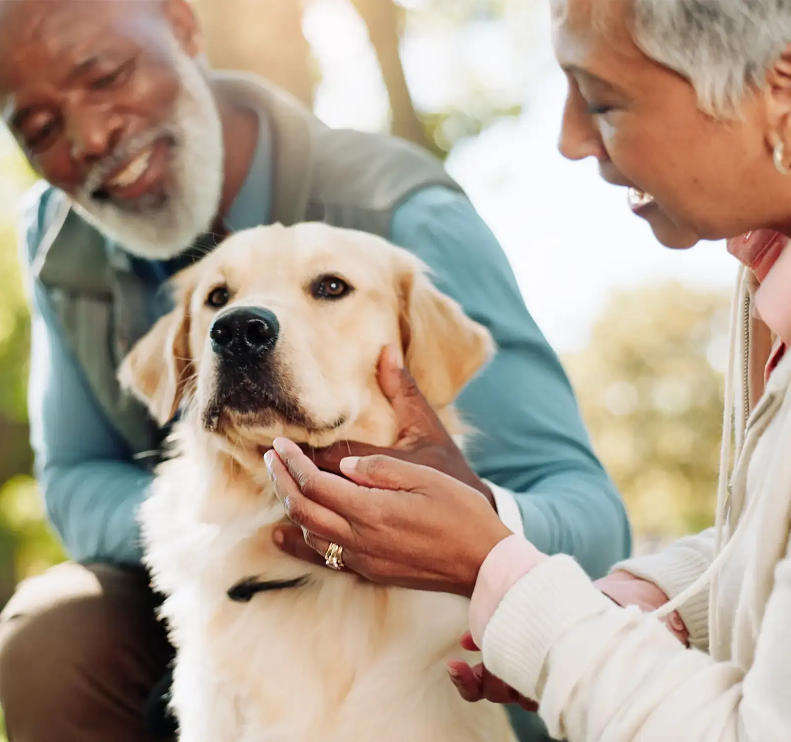 Image of two people in a park petting a dog.
