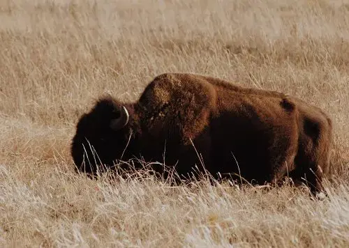 10 Things Your Military Family Will Love About Fort Sill, OK