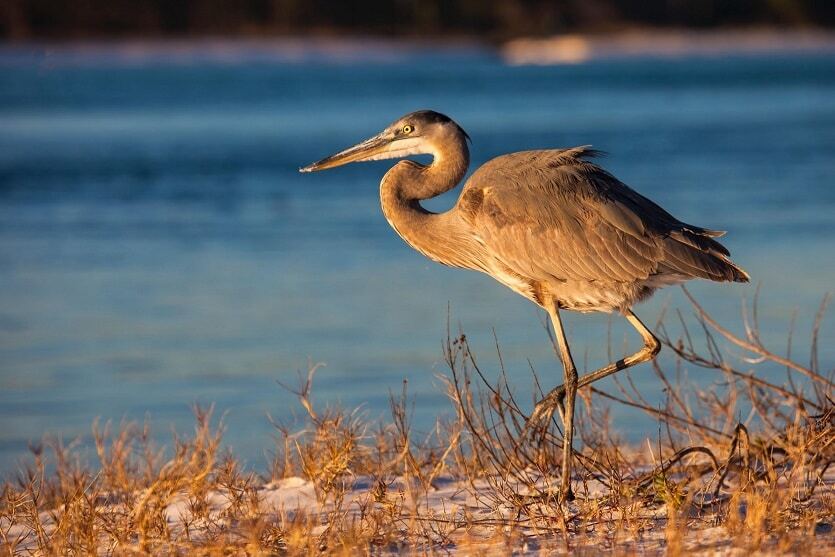 10 Things Your Military Family Will Love About NAS Pensacola, FL