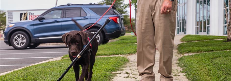 An Inside Look at Veterans Moving Forward