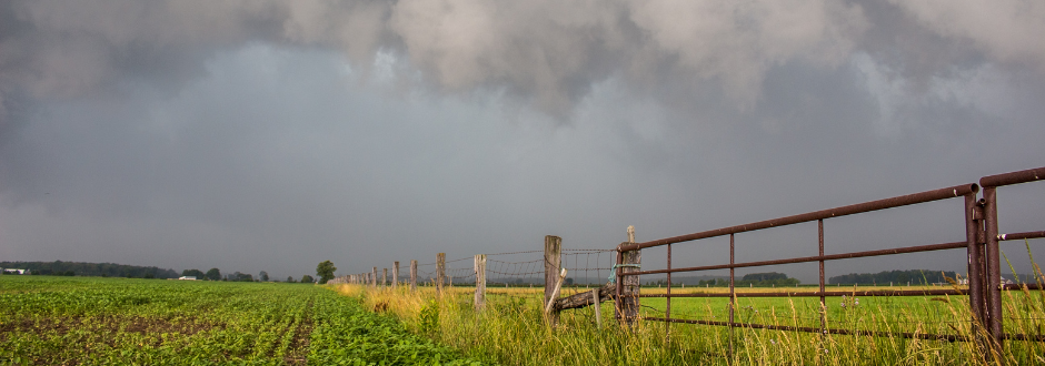 Climate Risk Is Top-of-Mind for Buyers, Homeowners and Insurers