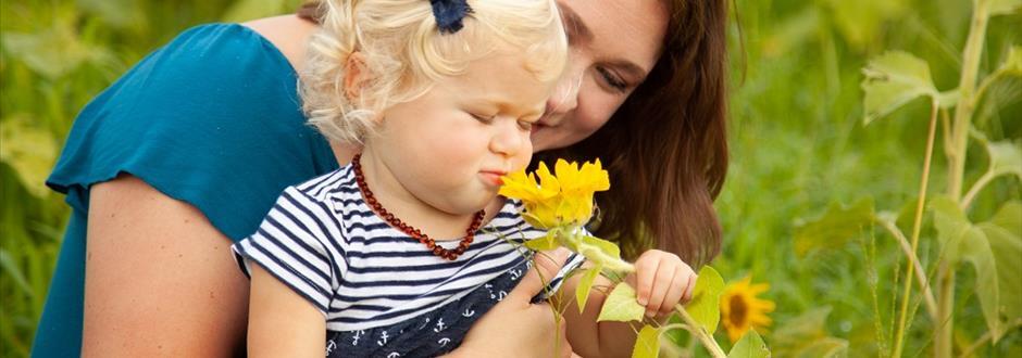 Debunking the Myths About the “Widow’s Tax”