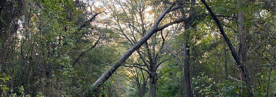 Navigating Natural Disasters as a Military Family