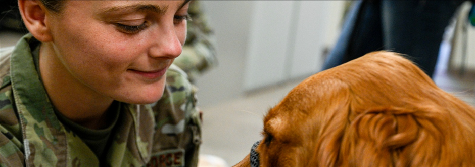 PTSD in the Military